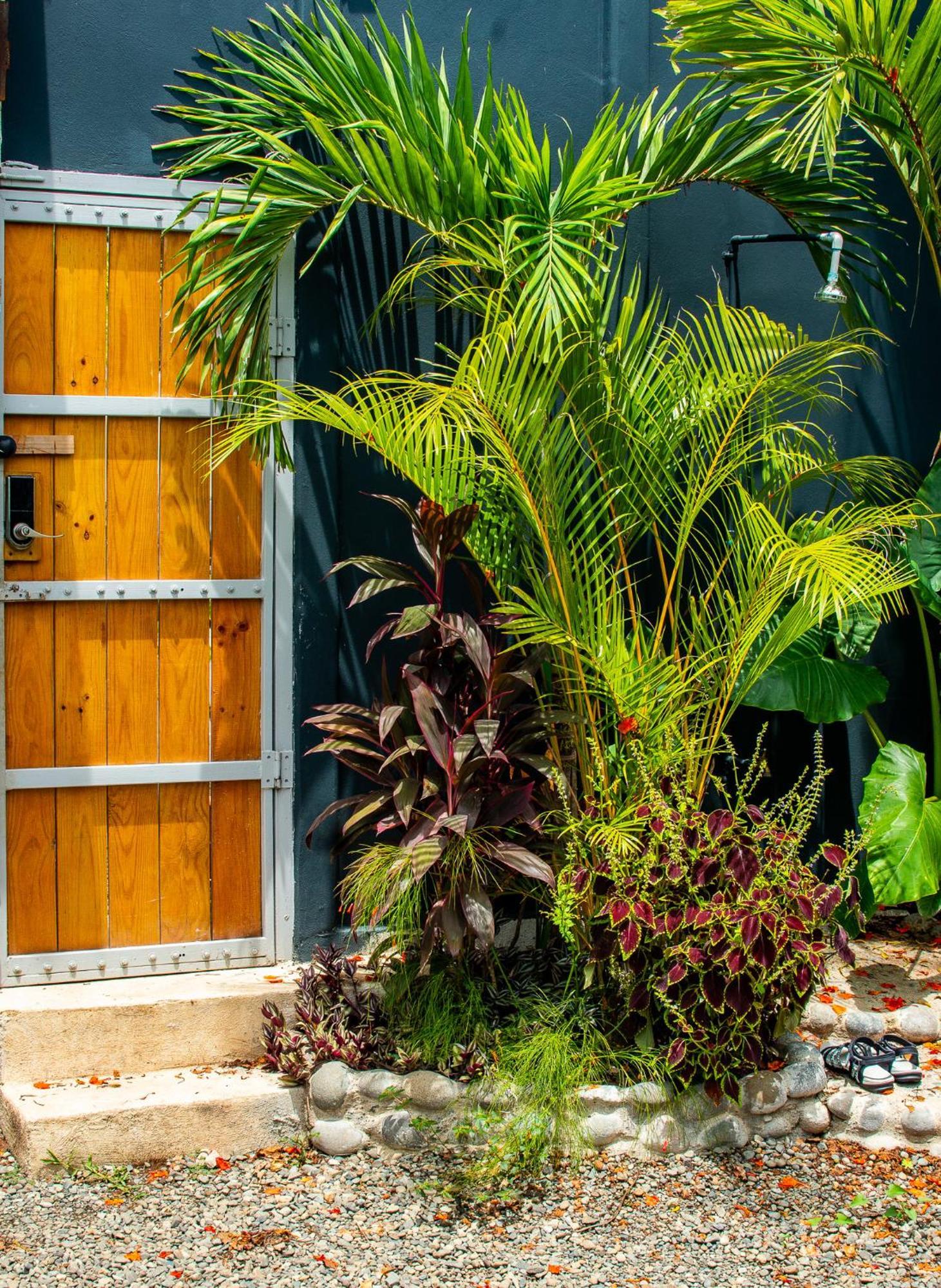 Mecca Hotell Puerto Viejo de Talamanca Exteriör bild