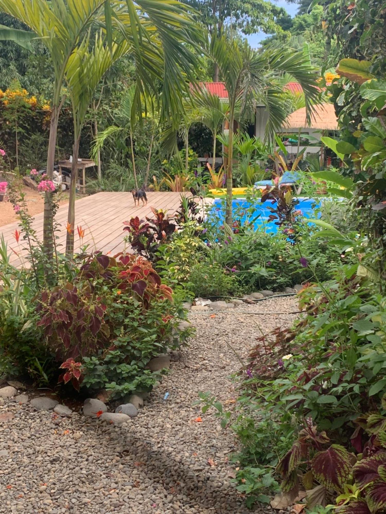 Mecca Hotell Puerto Viejo de Talamanca Exteriör bild